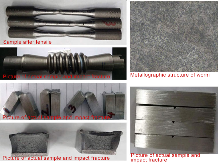 スリーニングドライブワーム